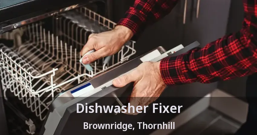 Dishwasher Fixer Brownridge, Thornhill - ON