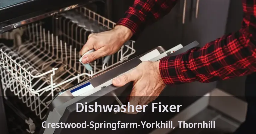 Dishwasher Fixer Crestwood-Springfarm-Yorkhill, Thornhill - ON