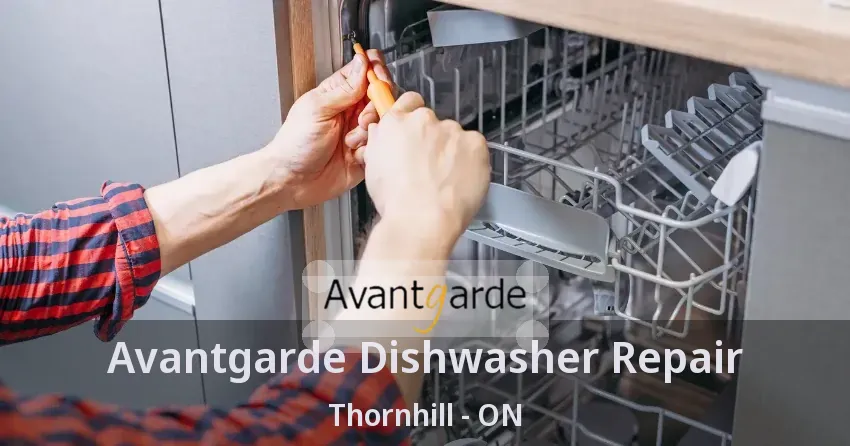 Avantgarde Dishwasher Repair Thornhill - ON