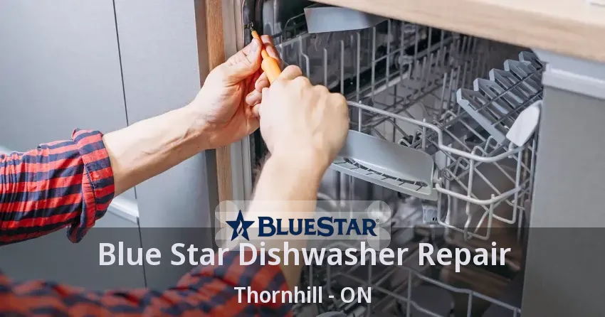 Blue Star Dishwasher Repair Thornhill - ON
