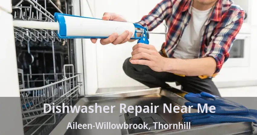 Dishwasher Repair Near Me Aileen-Willowbrook, Thornhill - ON