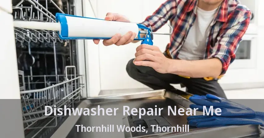 Dishwasher Repair Near Me Thornhill Woods, Thornhill - ON