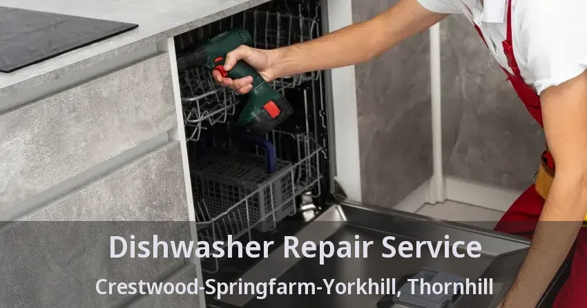 Dishwasher Repair Service Crestwood-Springfarm-Yorkhill, Thornhill - ON