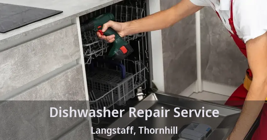 Dishwasher Repair Service Langstaff, Thornhill - ON