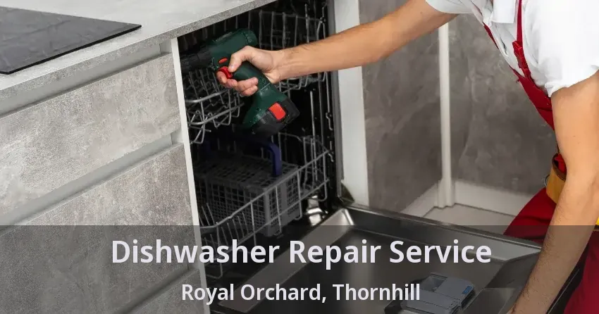 Dishwasher Repair Service Royal Orchard, Thornhill - ON
