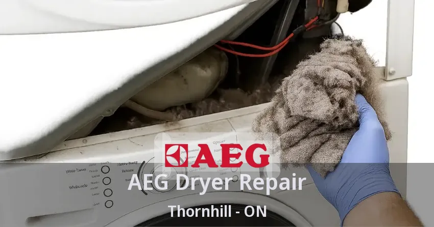 AEG Dryer Repair Thornhill - ON