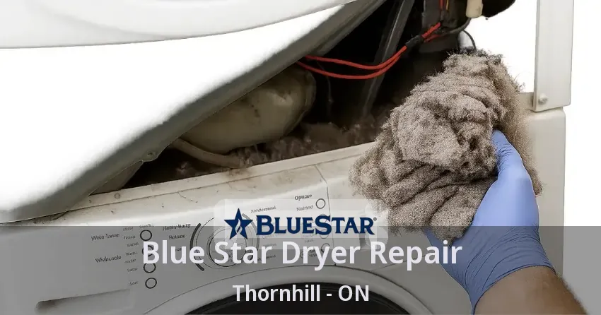 Blue Star Dryer Repair Thornhill - ON