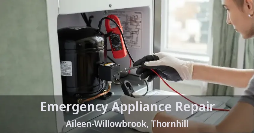 Emergency Appliance Repair Aileen-Willowbrook, Thornhill - ON
