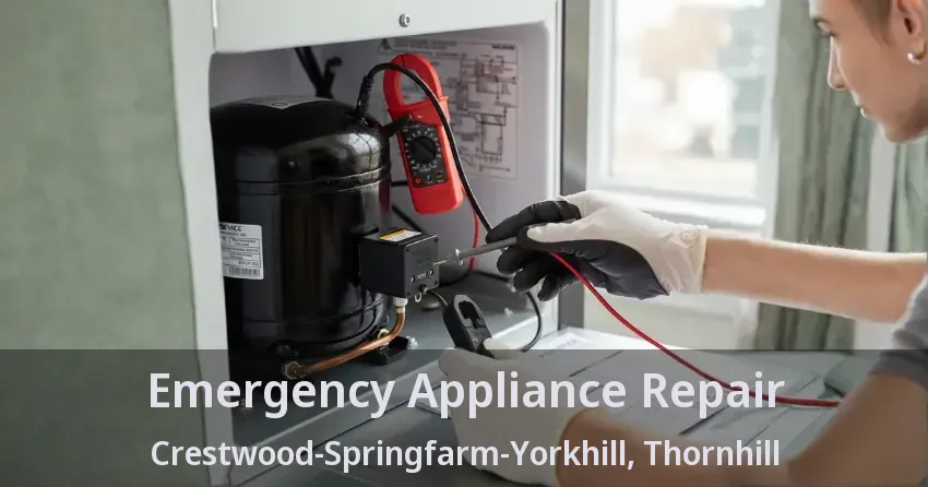 Emergency Appliance Repair Crestwood-Springfarm-Yorkhill, Thornhill - ON
