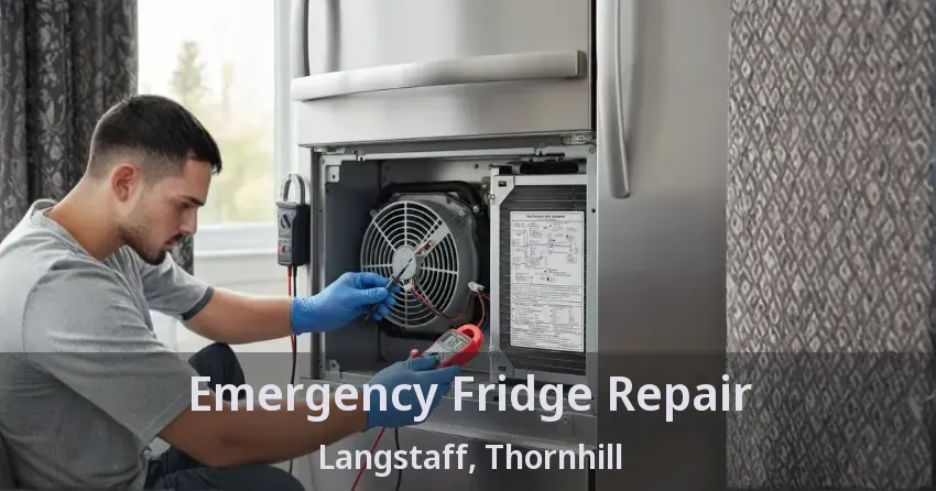 Emergency Fridge Repair Langstaff, Thornhill - ON