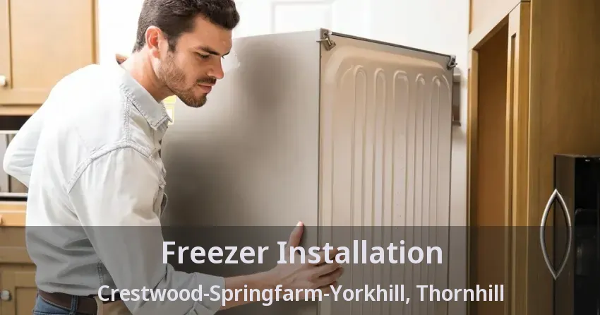 Freezer Installation Crestwood-Springfarm-Yorkhill, Thornhill - ON