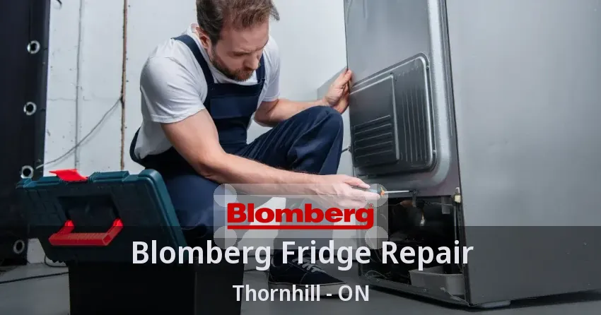 Blomberg Fridge Repair Thornhill - ON