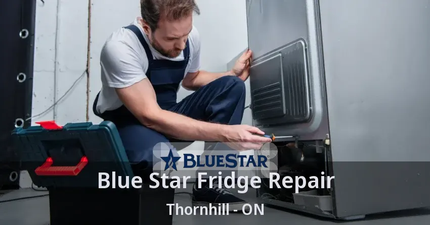 Blue Star Fridge Repair Thornhill - ON