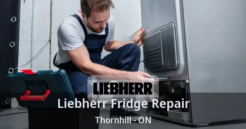 Liebherr Fridge Repair Thornhill - ON