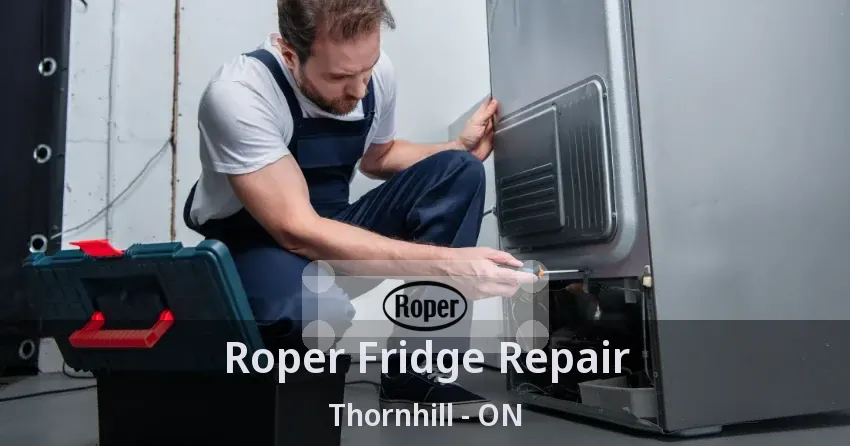 Roper Fridge Repair Thornhill - ON