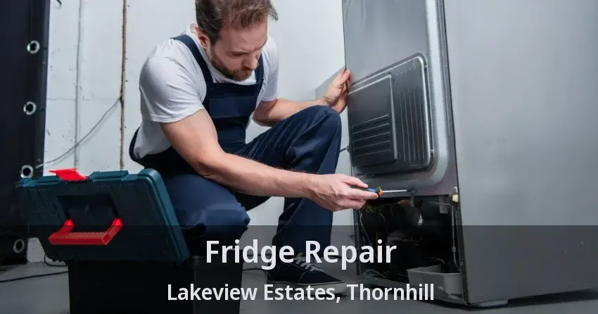 Fridge Repair Lakeview Estates, Thornhill - ON