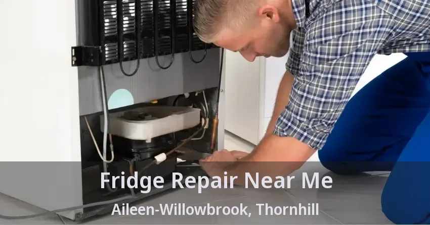 Fridge Repair Near Me Aileen-Willowbrook, Thornhill - ON