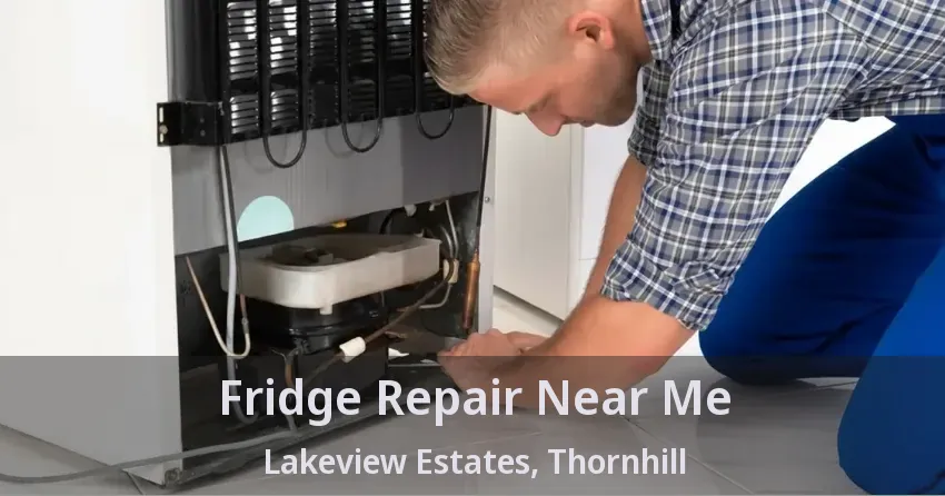 Fridge Repair Near Me Lakeview Estates, Thornhill - ON