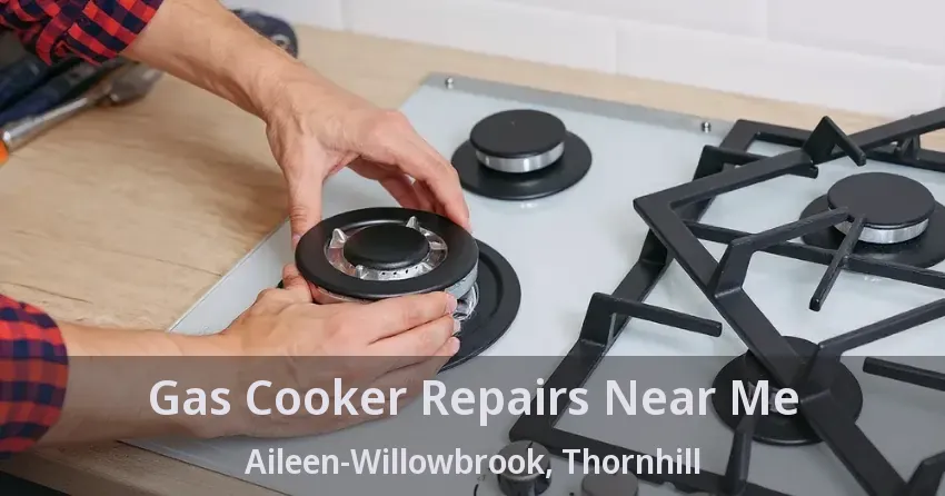 Gas Cooker Repairs Near Me Aileen-Willowbrook, Thornhill - ON
