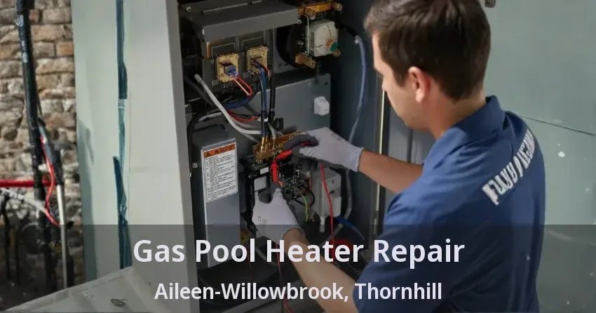 Gas Pool Heater Repair Aileen-Willowbrook, Thornhill - ON