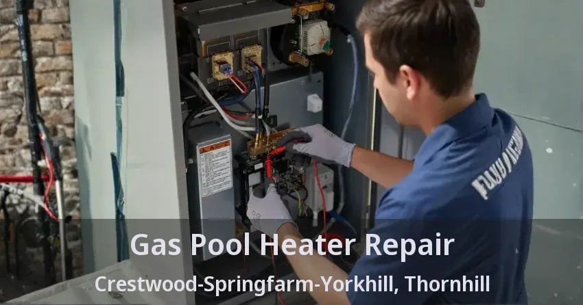 Gas Pool Heater Repair Crestwood-Springfarm-Yorkhill, Thornhill - ON