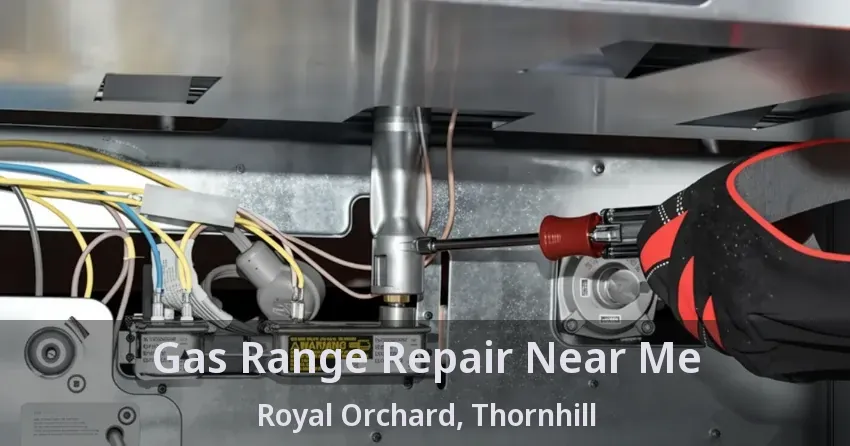 Gas Range Repair Near Me Royal Orchard, Thornhill - ON