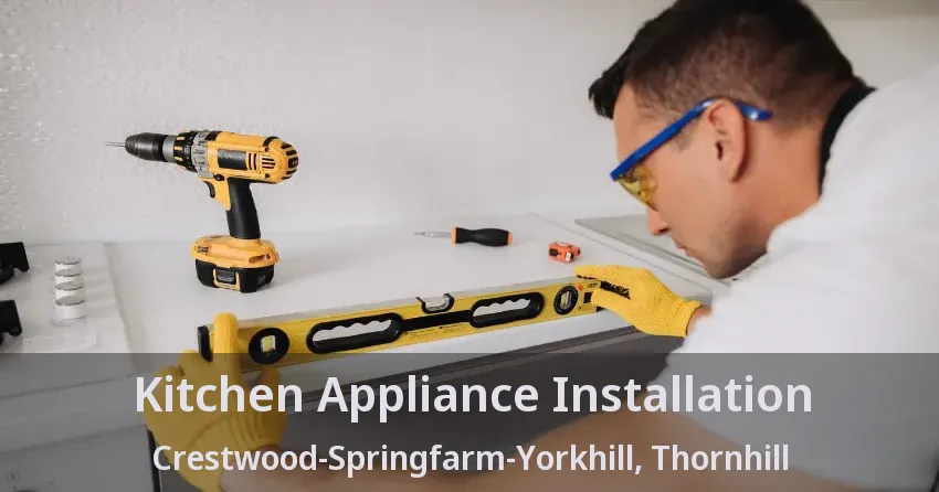 Kitchen Appliance Installation Crestwood-Springfarm-Yorkhill, Thornhill - ON