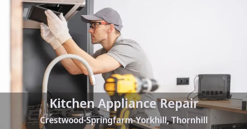 Kitchen Appliance Repair Crestwood-Springfarm-Yorkhill, Thornhill - ON