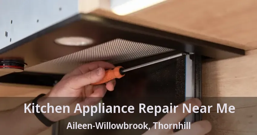 Kitchen Appliance Repair Near Me Aileen-Willowbrook, Thornhill - ON