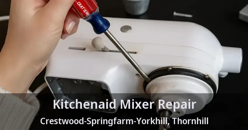 Kitchenaid Mixer Repair Crestwood-Springfarm-Yorkhill, Thornhill - ON