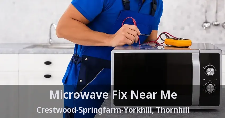 Microwave Fix Near Me Crestwood-Springfarm-Yorkhill, Thornhill - ON