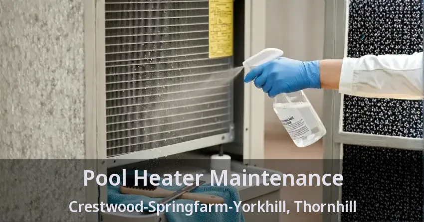 Pool Heater Maintenance Crestwood-Springfarm-Yorkhill, Thornhill - ON