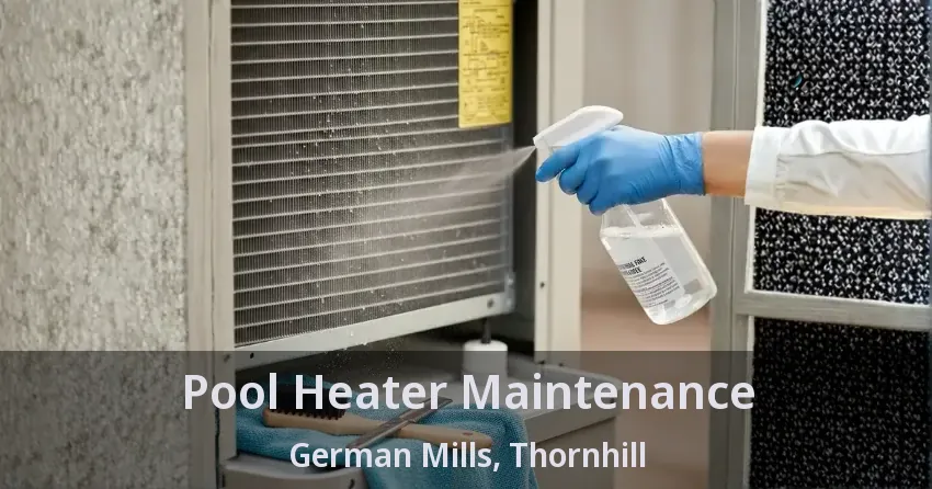 Pool Heater Maintenance German Mills, Thornhill - ON