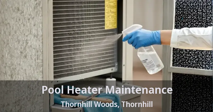 Pool Heater Maintenance Thornhill Woods, Thornhill - ON