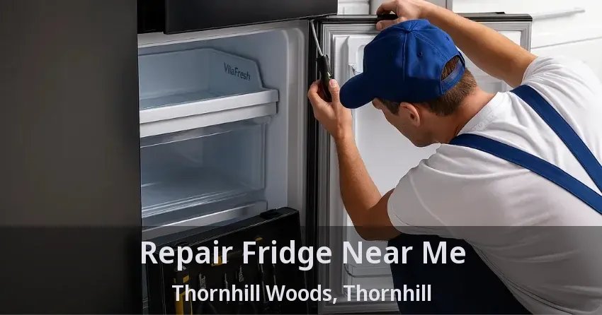 Repair Fridge Near Me Thornhill Woods, Thornhill - ON