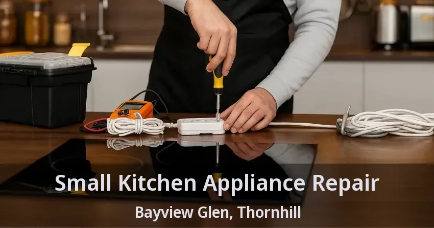 Small Kitchen Appliance Repair Bayview Glen, Thornhill - ON