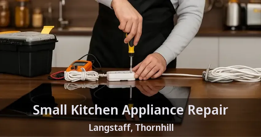 Small Kitchen Appliance Repair Langstaff, Thornhill - ON