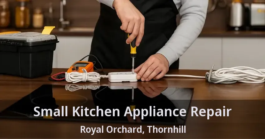 Small Kitchen Appliance Repair Royal Orchard, Thornhill - ON