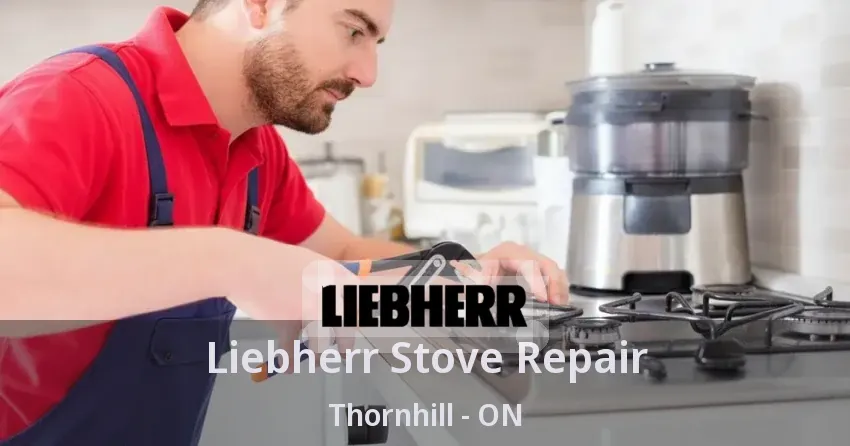 Liebherr Stove Repair Thornhill - ON